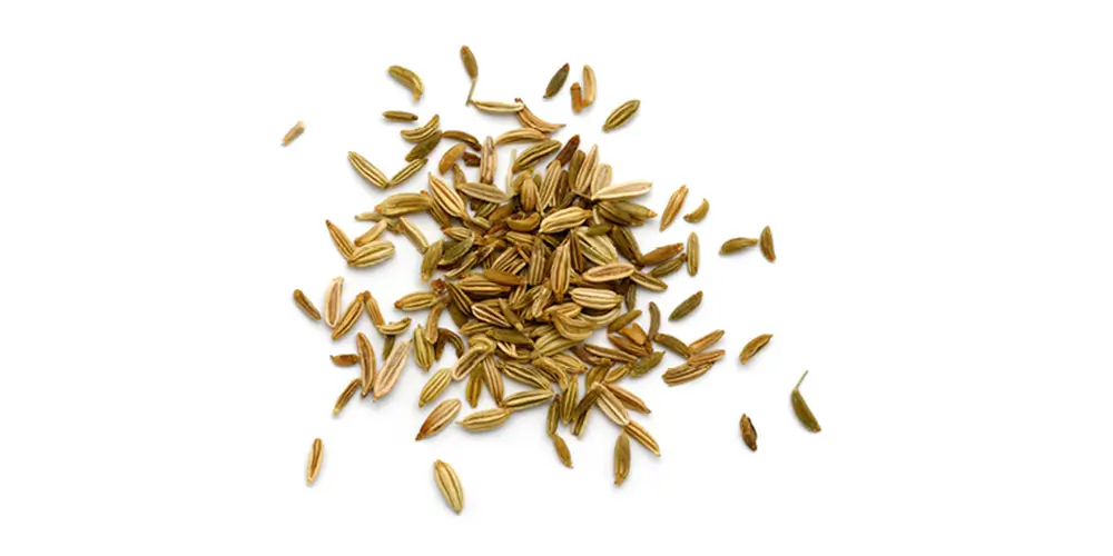 Venkelzaad Verstegen